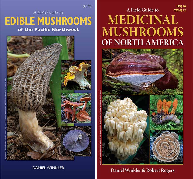 Mushroaming Online Classes Mushroaming Daniel Winkler's pages